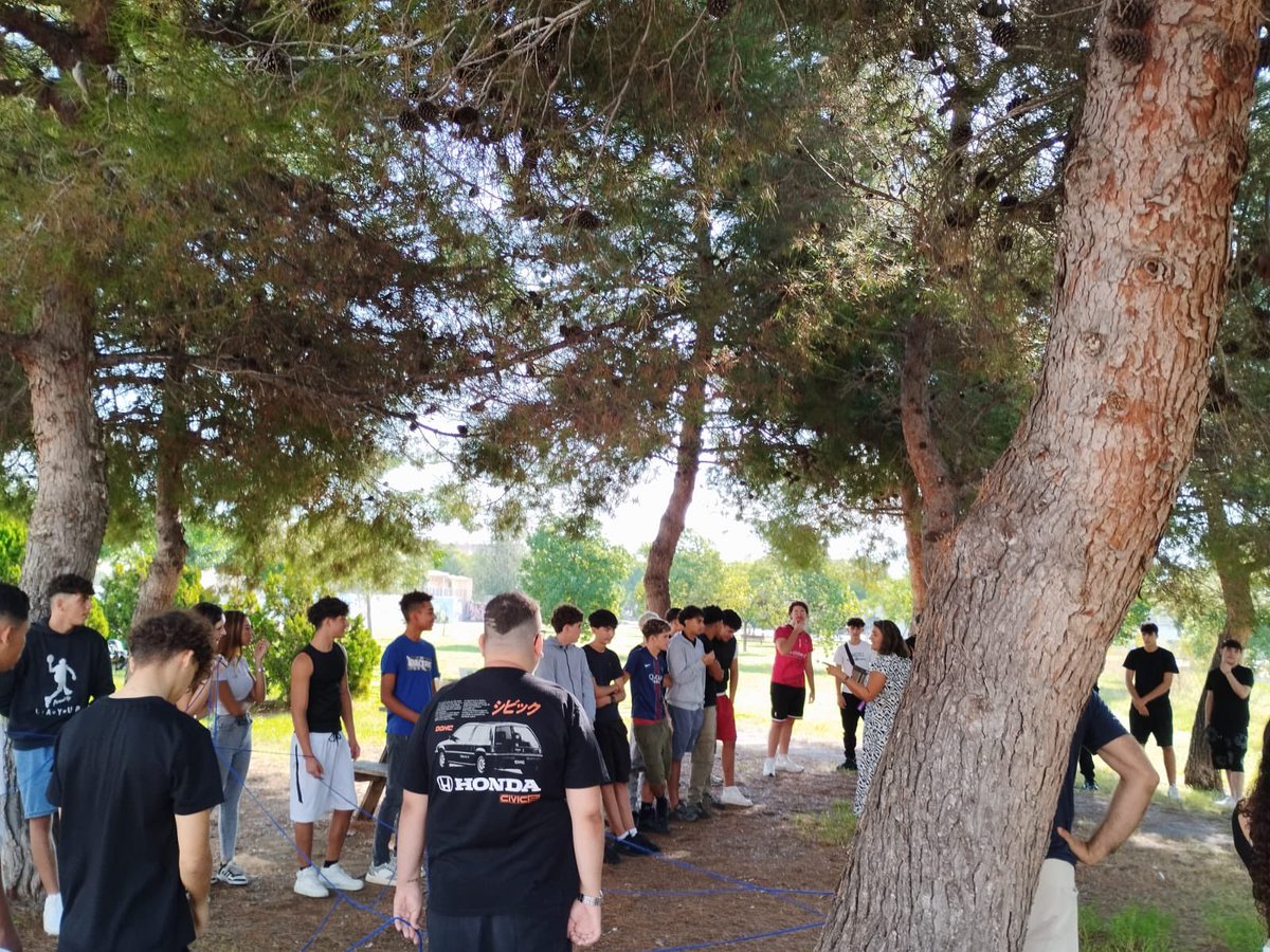 Institut Ramon de la Torre tweet media