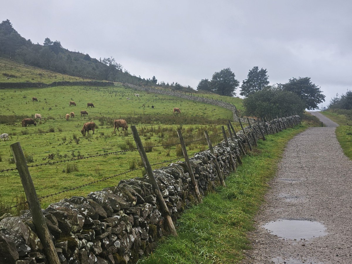 Castlefield Campus tweet media