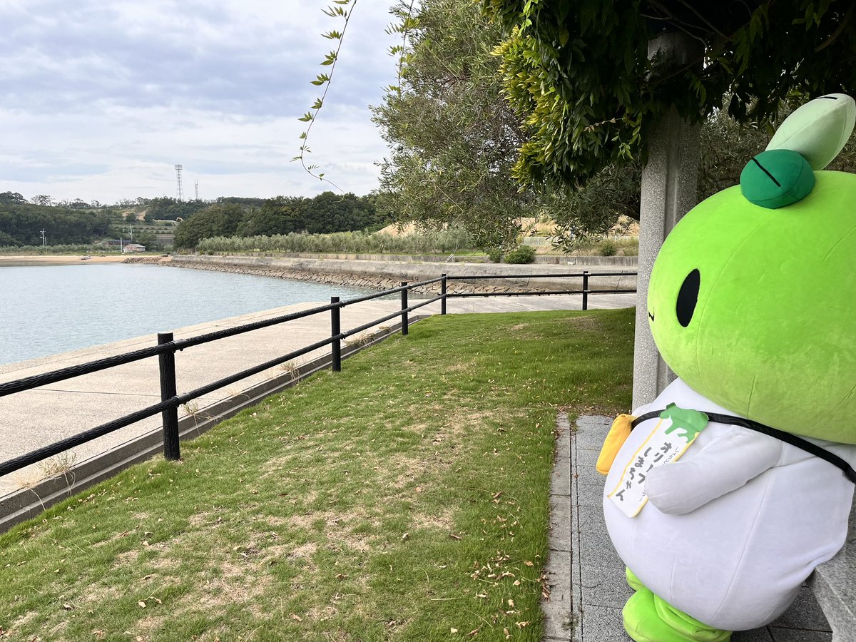オリーブしまちゃん公式【香川県・小豆島】 (@olive_shimachan) / X