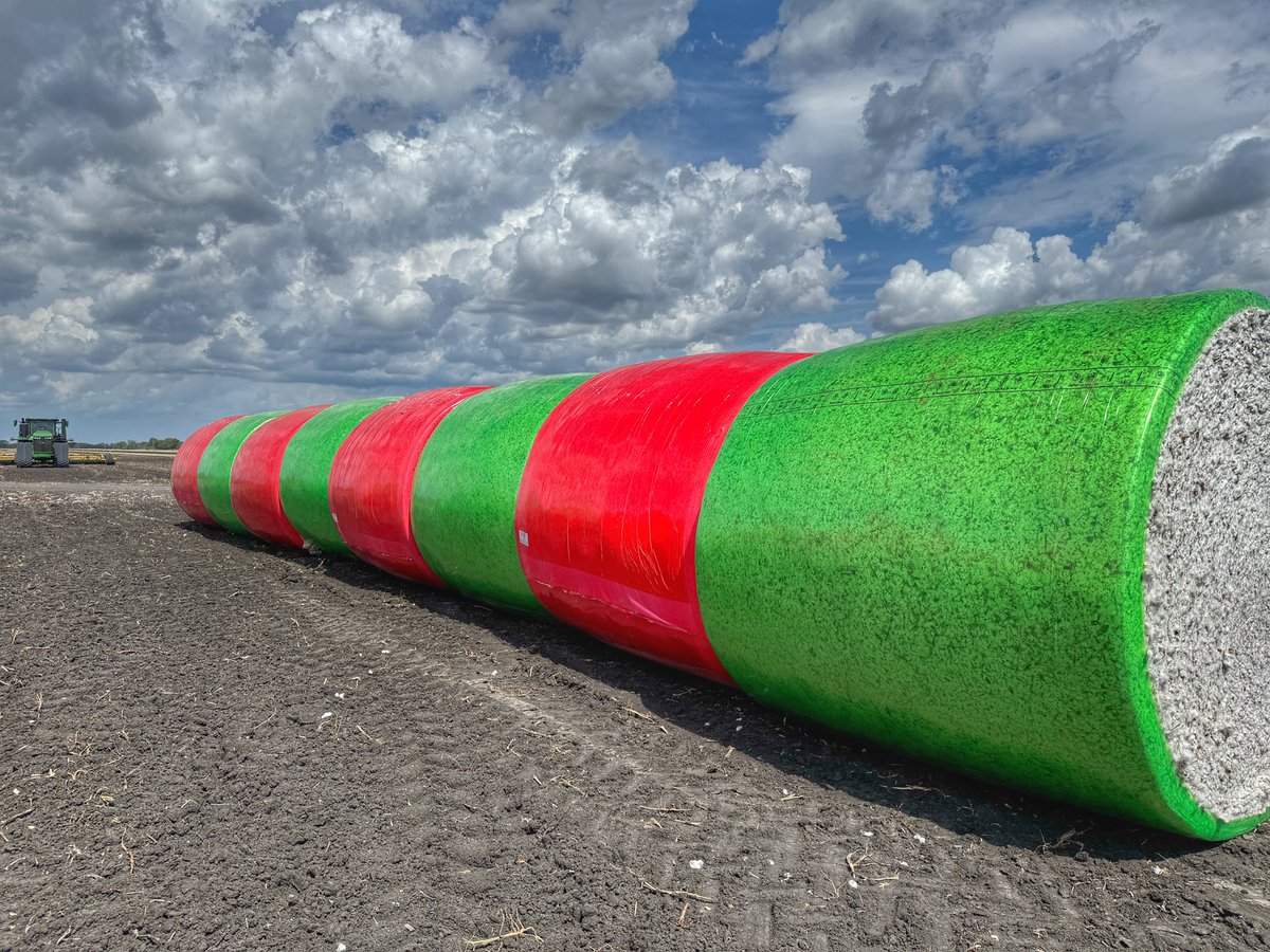 LindsayKimbrell's tweet image. Color patterns are important 😉
#cotton