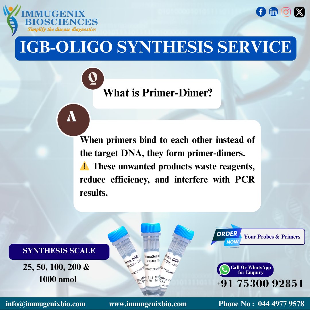 immugenixbio's tweet image. Primer-dimers = primers binding to each other, not the target DNA.

❌ Waste reagents
❌ Reduce efficiency
At IGB, our custom oligos are designed to minimize dimers &amp;amp; ensure reliable PCR, qPCR &amp;amp; sequencing results.

Reliable oligos = Reliable data.
#OligoSynthesis #PrimerDesign