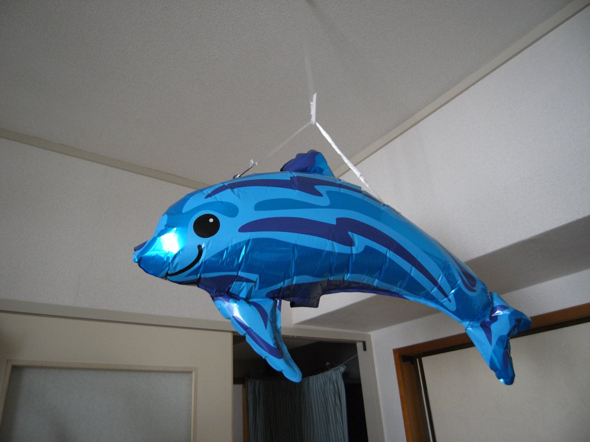 イシダ (@ofuoei) on Twitter photo 