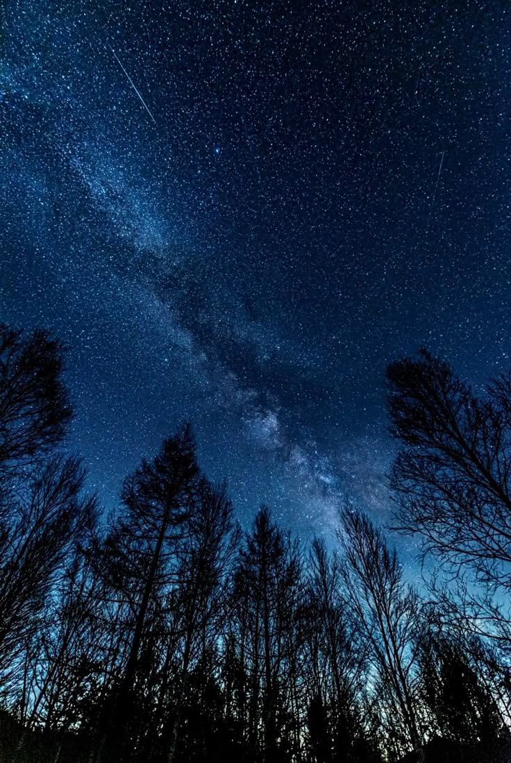 astro4pics's tweet image. . * . 🌟 . * . * 🌌 * . * 💫 . * * . 🌑 . * 🌍 . * . * ✨ . * . * ☄️ * . * . 🌕 . * . * 🌙 . * * . * . * . *