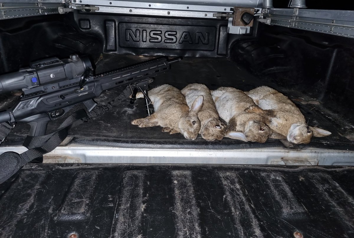 SenditVarmint's tweet photo. Rabbit hunting https://t.co/MSOVTjmoWB