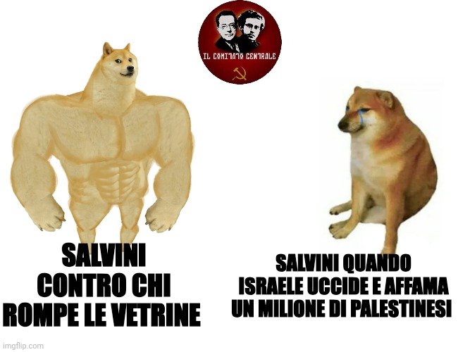 <a href="/matteosalvinimi/">Matteo Salvini</a>