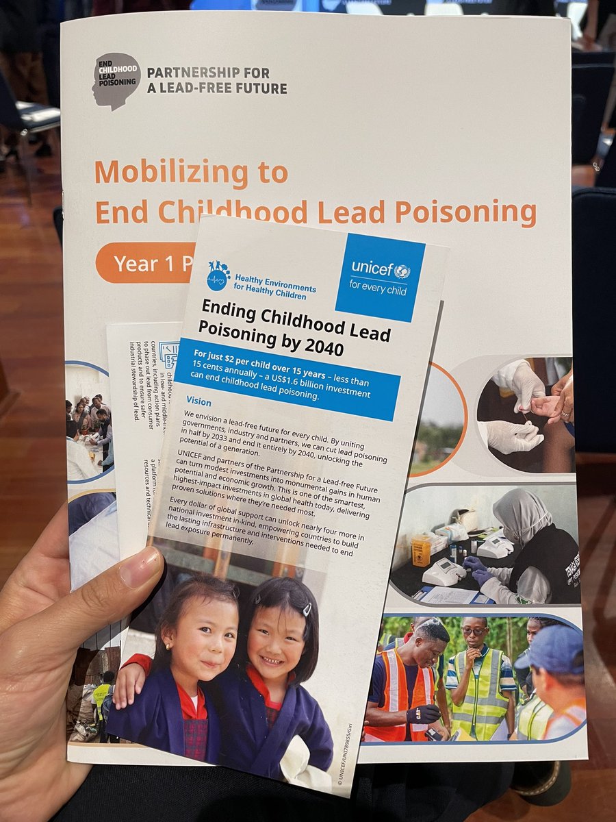 Today, the Partnership for a #LeadFreeFuture is hosting an event during #UNGA80 to discuss ending childhood lead exposure. <a href="/hrw/">Human Rights Watch</a> has reported that in “sacrifice zones” like Kabwe, Zambia, and La Oroya, Peru, children have been exposed to extreme levels of toxic lead. Read more ⬇️