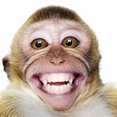 Ni either unikumbuke Usmile au Unikumbuke
Usonye, Kunikumbuka Nayo Ni Constant😅😆🤣😁😄🤭