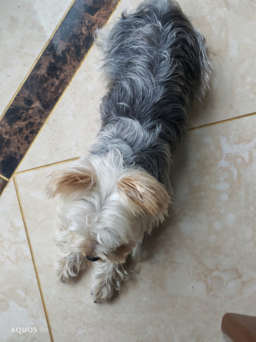 求石景山租房推荐（短租