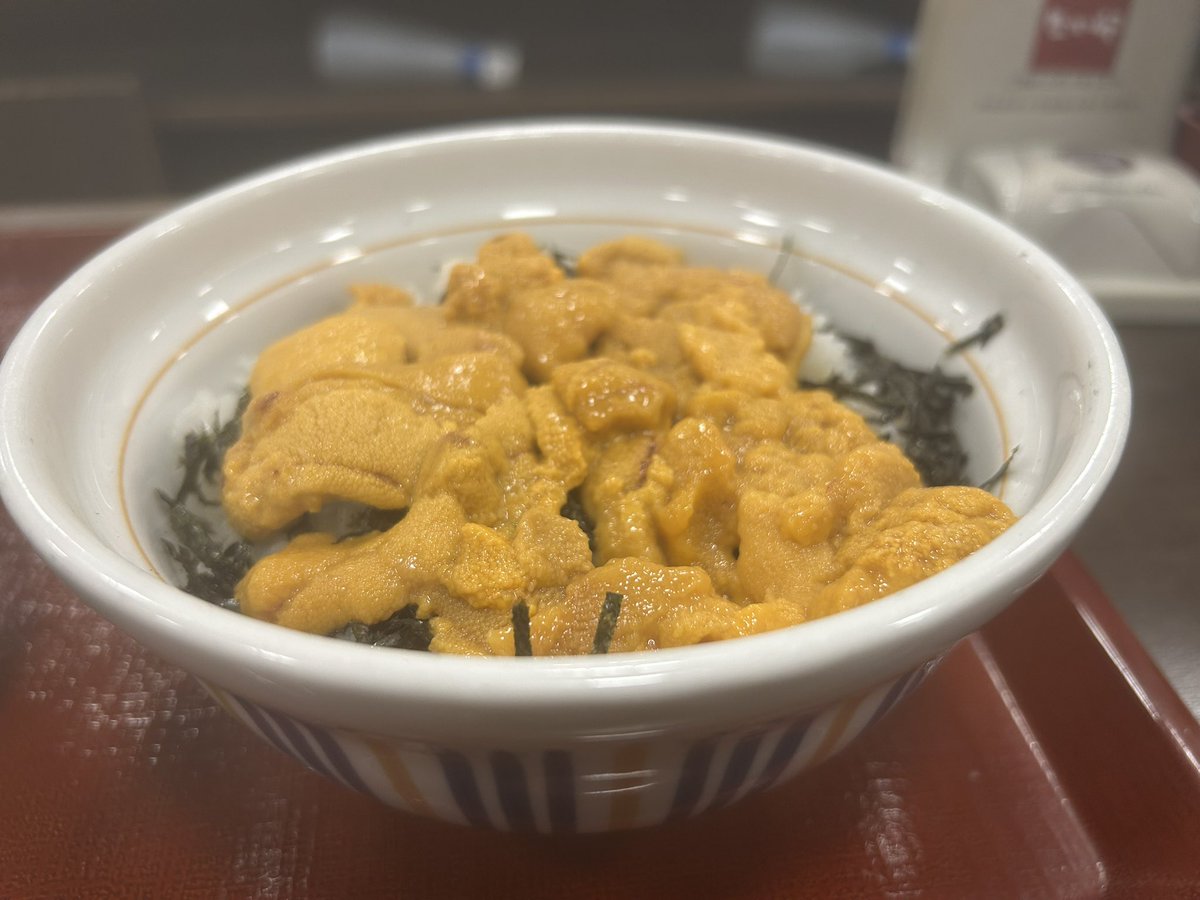 うにごはんページ♡⃜ ♡ ＊ 🐶 僕のごはん…は？ 💁🏻‍♀️ はい、さっき食べました