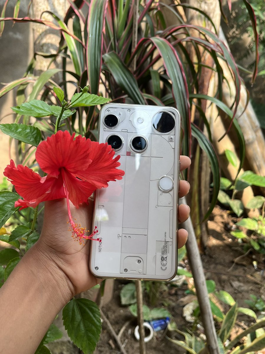 wiz_piyush's tweet image. Capturing hibiscus with nothing 

Shot On : @nothing  Phone (3) 
#WithNothing #macro 

@AkisEvangelidis @getpeid @harisree24 @nothingindia @nothingphone3a @Snapdragon @Snapdragon_IN @Technerd_