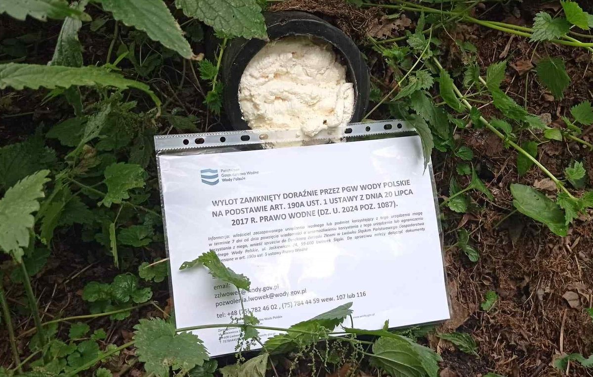 ❌ Podejmujemy aktywne działania – prowadzimy kontrole i zamykamy #NielegalneWyloty, którymi odprowadzane są nieczystości do rzek i jezior. ☢️

👉 W ostatnim czasie pracownicy Zarządu Zlewni w Lwówku Śląskim zamknęli wylot ścieków do cieku Czarna w miejscowości Gaworzyce.