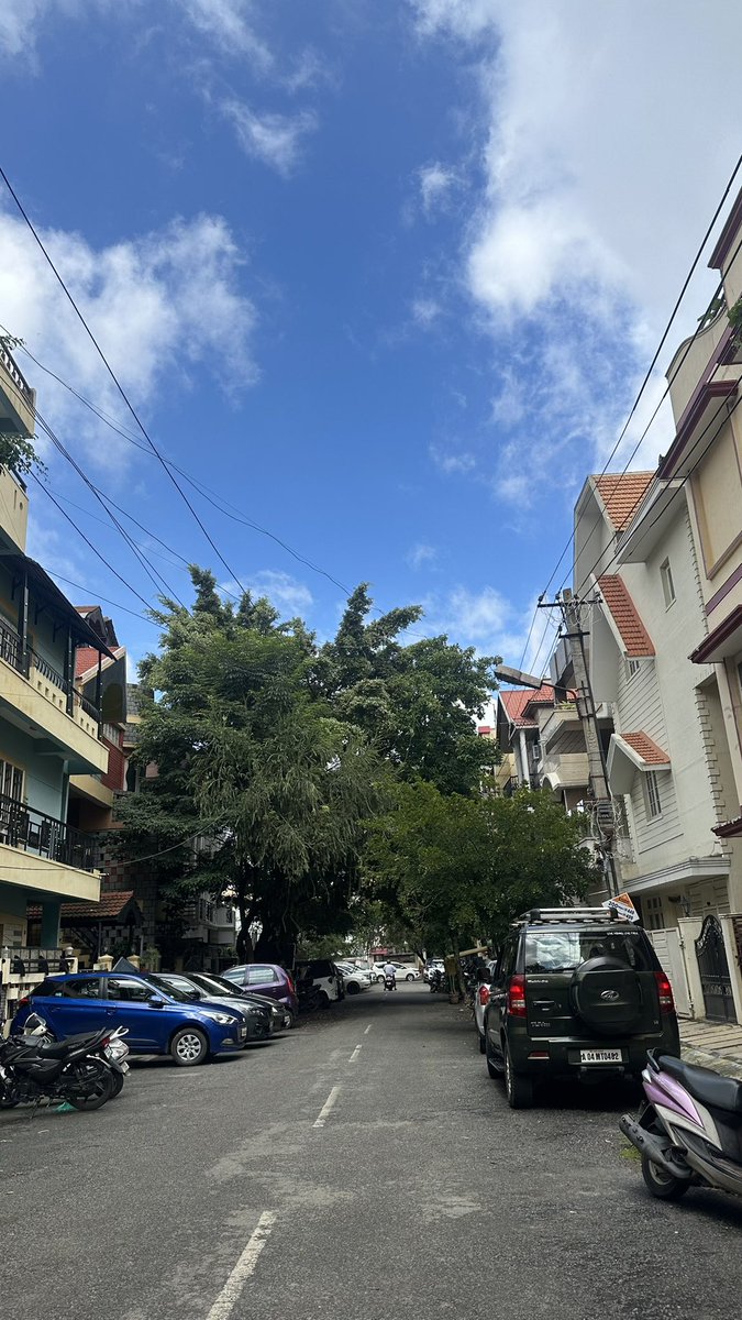 Swastika Yadav tweet media