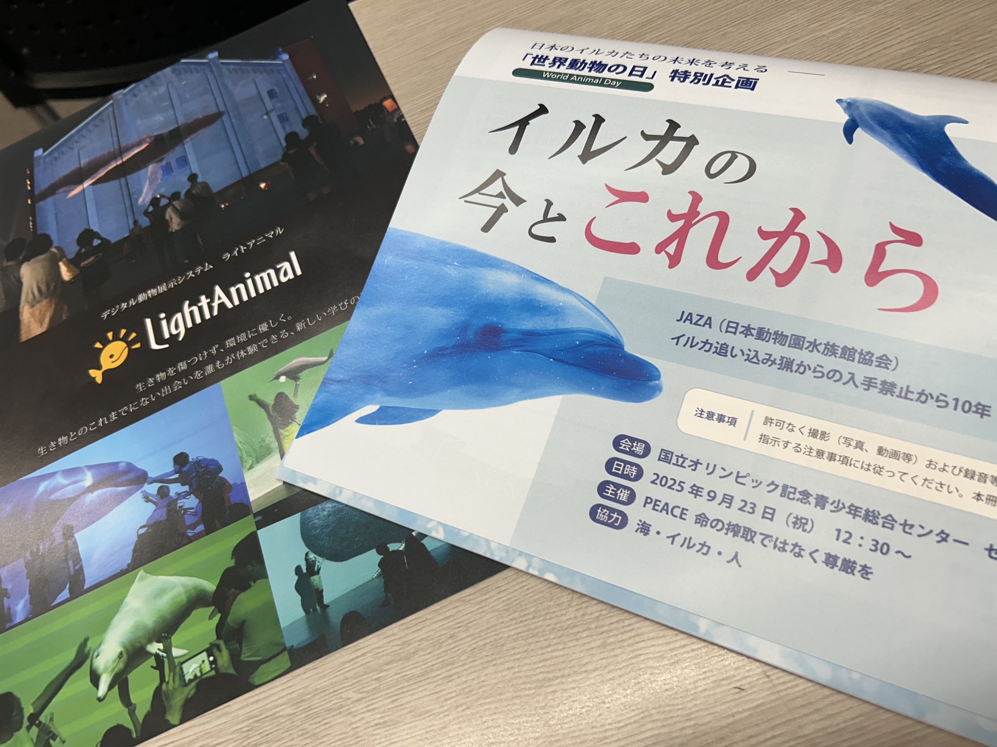 希少品 第十二次南鯨出漁記念 鯨髭 壁掛け (匿名配送) 希少品 第十二次南鯨出漁記念 鯨髭 壁掛け (匿名配送)
