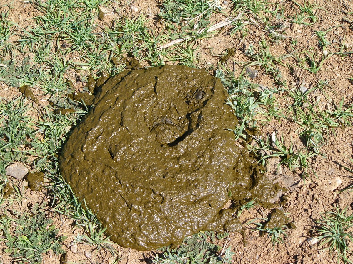 JDunlap1974's tweet image. Let's see if this picture of BULLSHIT can garnished more views than Jimmy Kimmel’s 126,000 rating.