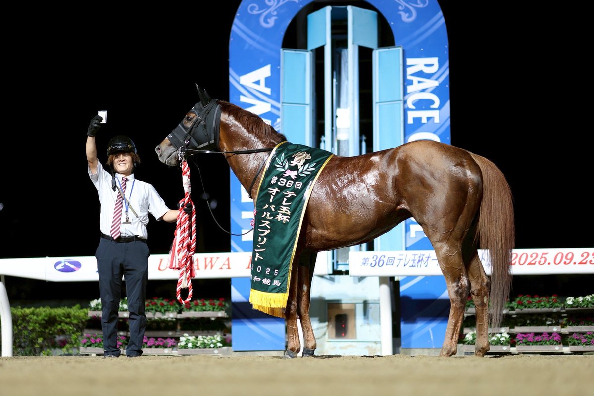 すみれ (@330smile330) / X