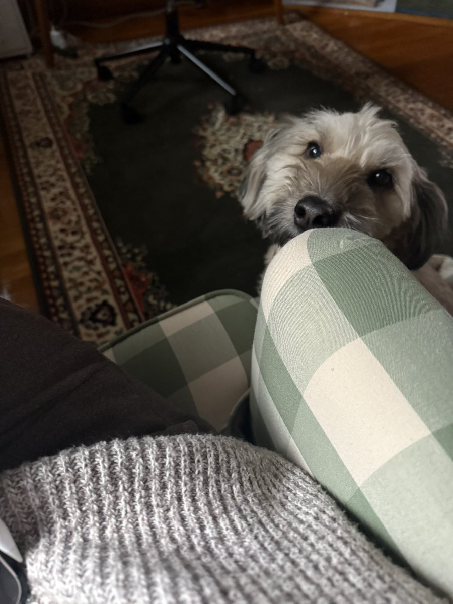 C. E. Aubin? (@ceaubin) on Twitter photo I don’t necessarily need assistance with getting some reading done, but by god is my intern cute I don’t necessarily need assistance with getting some reading done, but by god is my intern cute