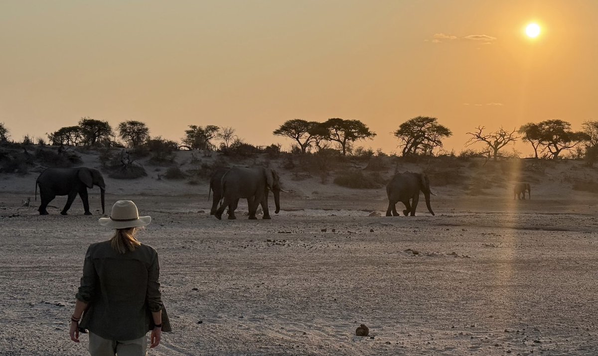 Globetrotter kauft Africa Design abouttravel.ch/reisebranche/g…