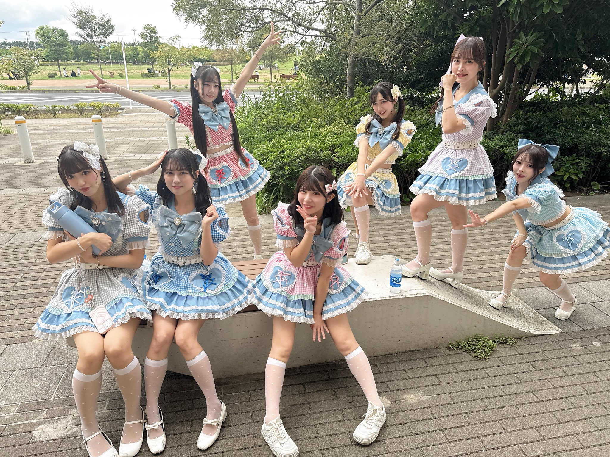 アラギュレル 写真集 東福寺配布 20190701 アラギュレル 写真集 東福寺配布 20190701 アラギュレル 写真集