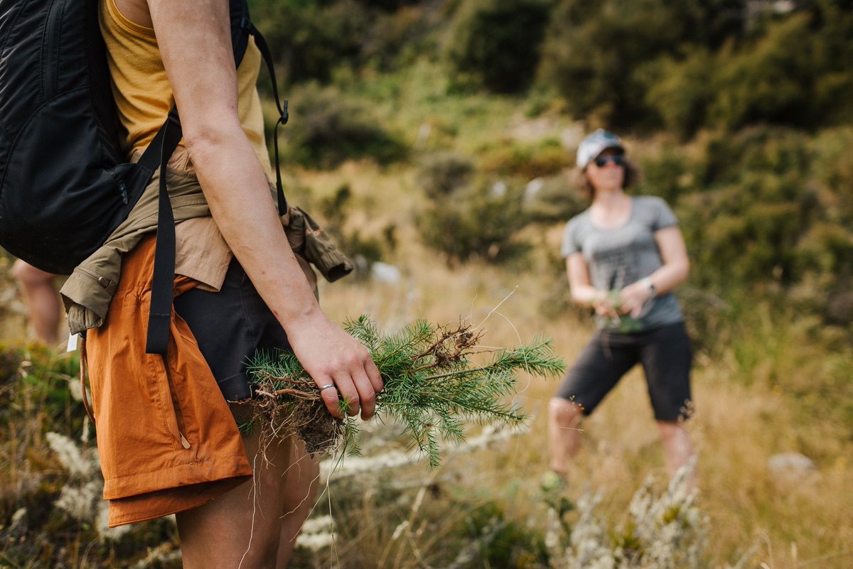 Skyline is about more than fun, it’s about caring for Kilvey Hill 🌱 

Protecting nature today, so Skyline Swansea can enjoy it at 💙

#Skylineswansea #swansea #swanseabay #skyline