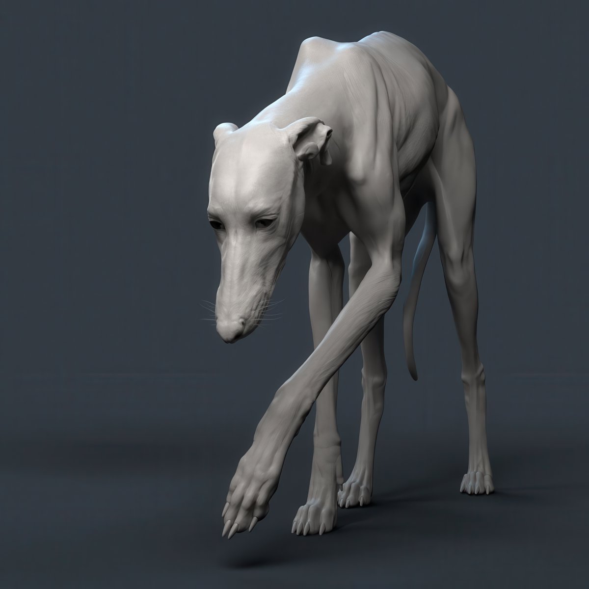 How are you, gentlemen artists? And I will share with you #references and images on sculpting #Anatomy #Animals Pack №16 #3d #gamedev #3dart #hand #modeling #3DModel #sculpting #leg #dog #gameart #zbrush #horse #snake #ecorche #sculpture #muscles #chest #ears #neck #cat