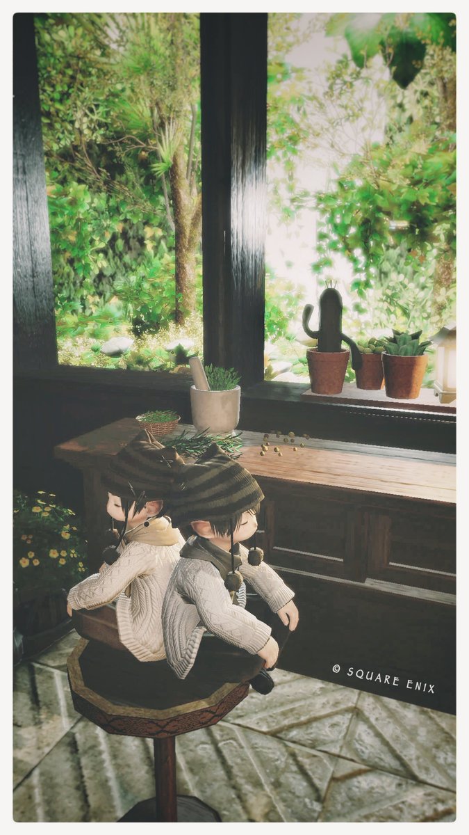 『nemos』