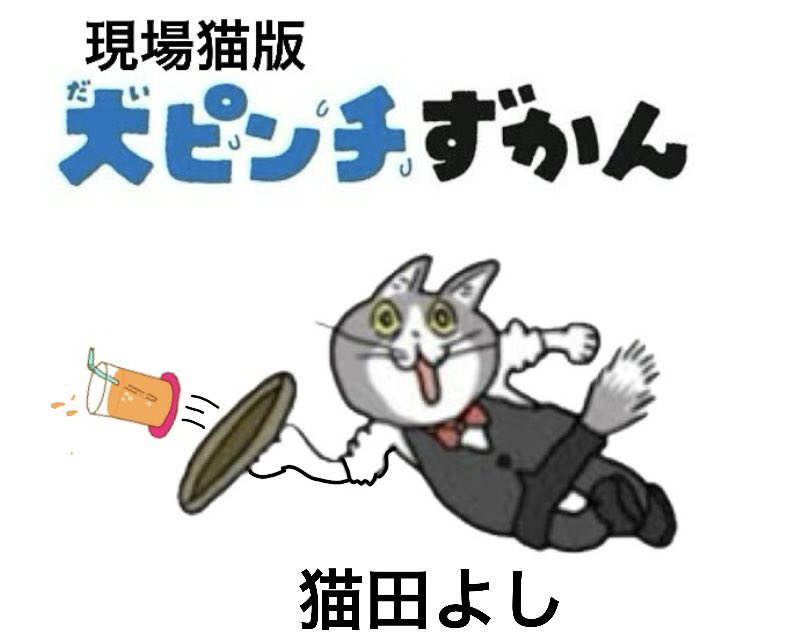 現場猫 現場猫 - Search / X