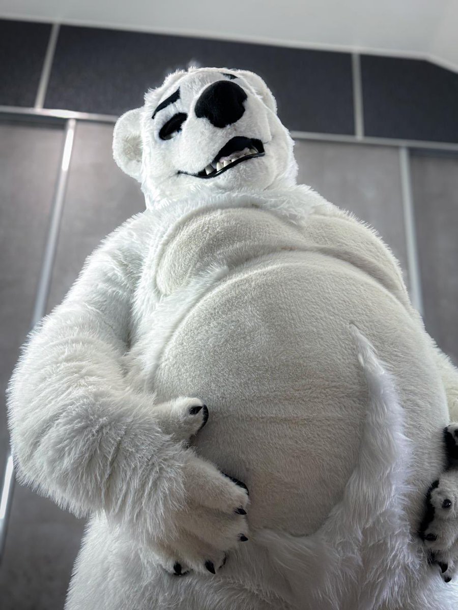 First #tummytuesday and not the last, comes to get a big and fluffy belly hugs !