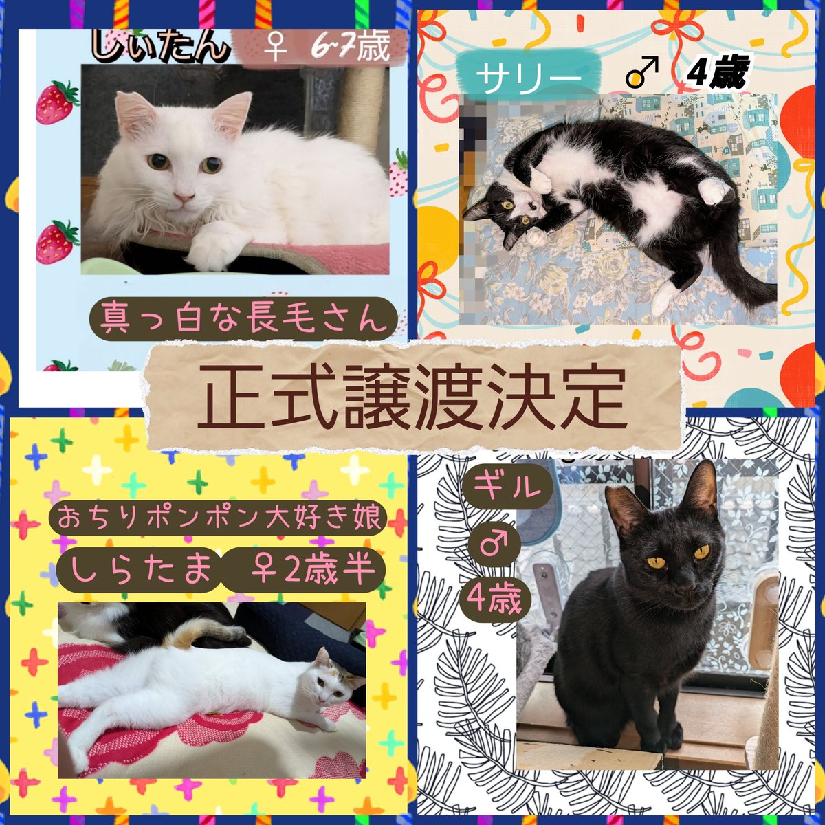 専用となっております。 皆様のご理解、ご協力感謝いたします。 日本ユニセフ協会 』様から感謝状を頂きました