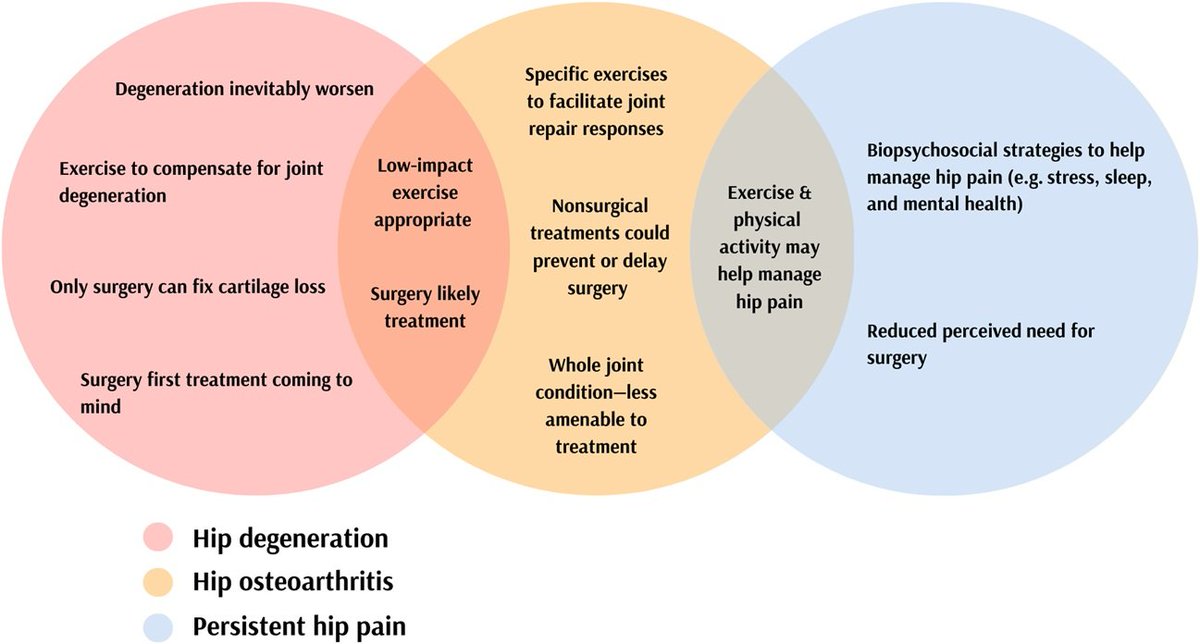 Diagnostic Labels and Explanations for Hip Pain

<a href="/tomgoom/">Running-Physio</a> <a href="/Retlouping/">ɹǝʇlnoԀ pıʌɐᗡ 🚴🏻 🇺🇸 🇦🇺 🇬🇧</a> <a href="/TDekkersPhysio/">Thomas Dekkers | Spinal Specialist Physiotherapist</a> <a href="/PhysioMeScience/">Physio Meets Science</a> <a href="/BillingMartin/">Martin Billing</a> 

journals.lww.com/clinorthop/ful…