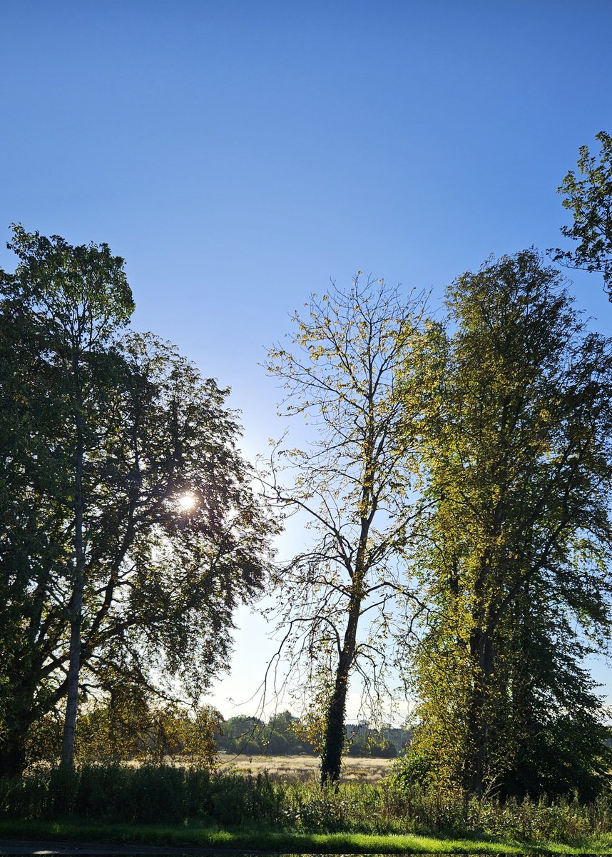 Autumn morning peeps 😁👋