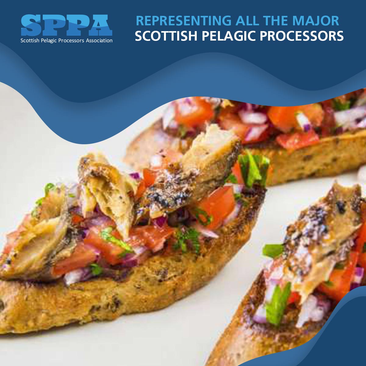ScotsPelagic's tweet image. Scottish mackerel and herring are sustainably caught, taste great and are inexpensive compared to most other proteins, representing excellent value for money

scotspelagicprocessors.com

#CostEffectiveEating #ValueForMoney #BudgetFriendlyFood #BuyBritish