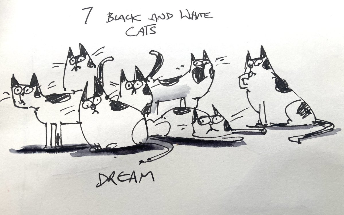 Dream last night with 7 identical black &amp; white cats
