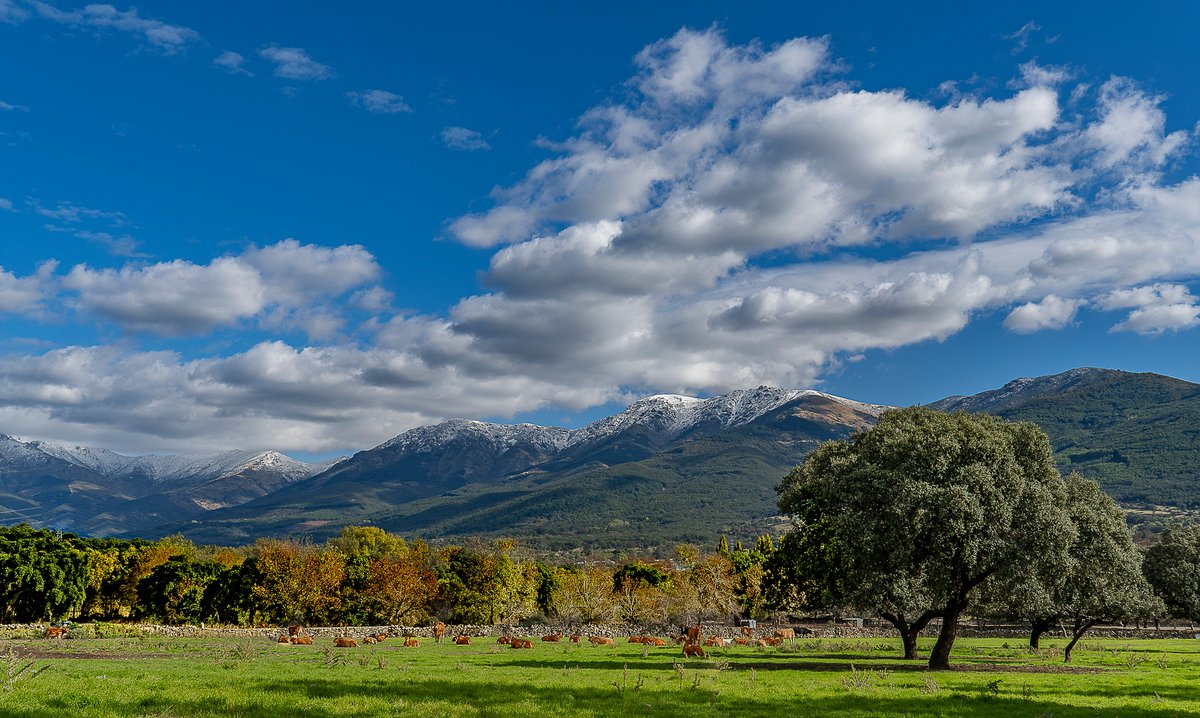 Descubre el Valle del Ambroz, un rincón de naturaleza y encanto. Entre castaños y robles, gargantas con cascadas, pueblos llenos de historia y rutas por la Vía de la Plata, encontrarás un lugar para desconectar.

¡Vente este otoño a Extremadura! 💚

🔗 visitambroz.es