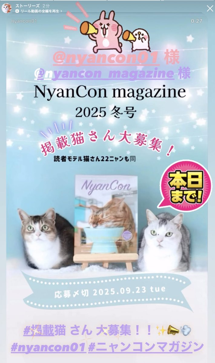 ニャンコン ニャンコン