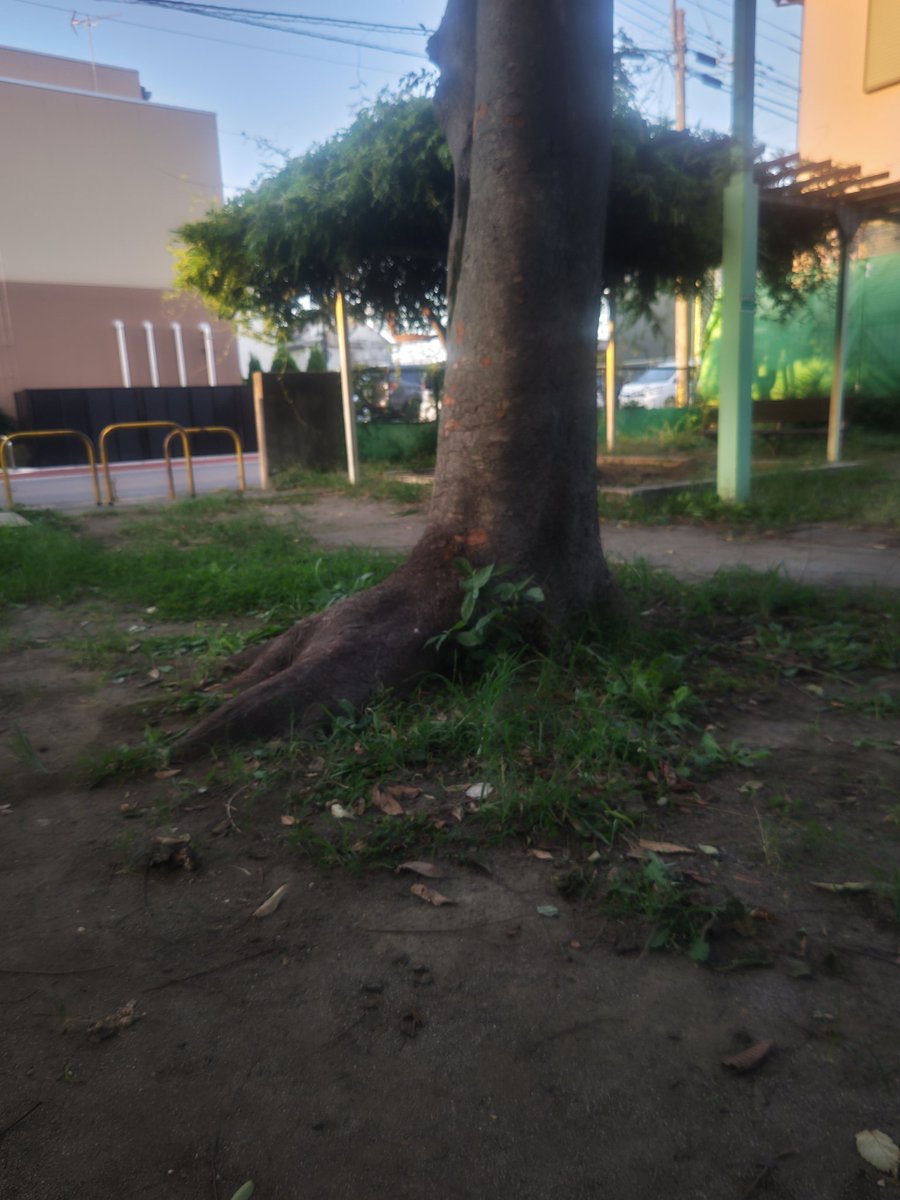 久しぶりの地元！
帰ってきたぞ〜！
そして今週はローカル線プロレス！
楽しみ楽しみ！

#ローカル線プロレス