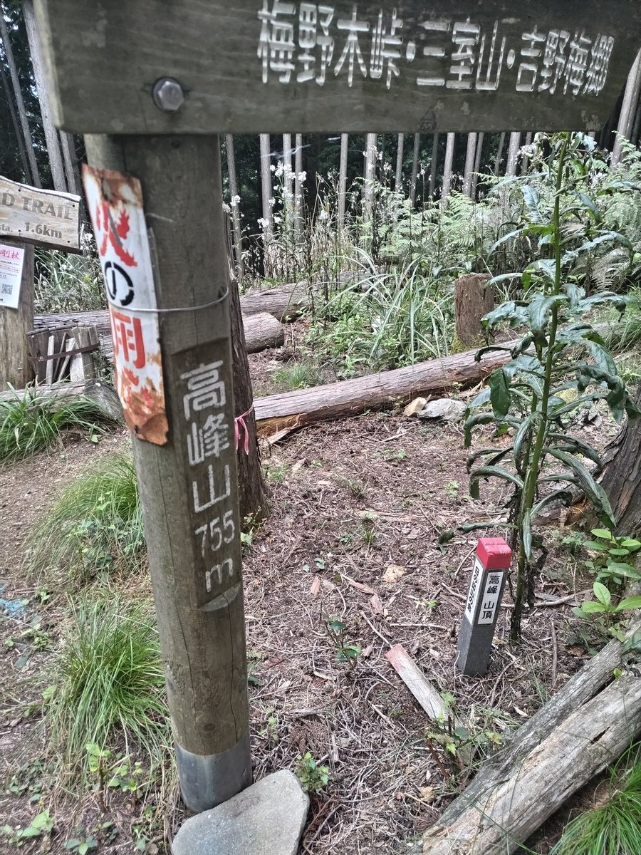 henosima's tweet photo. やま〜！山頂はしごした！ https://t.co/uCCva5lLkJ