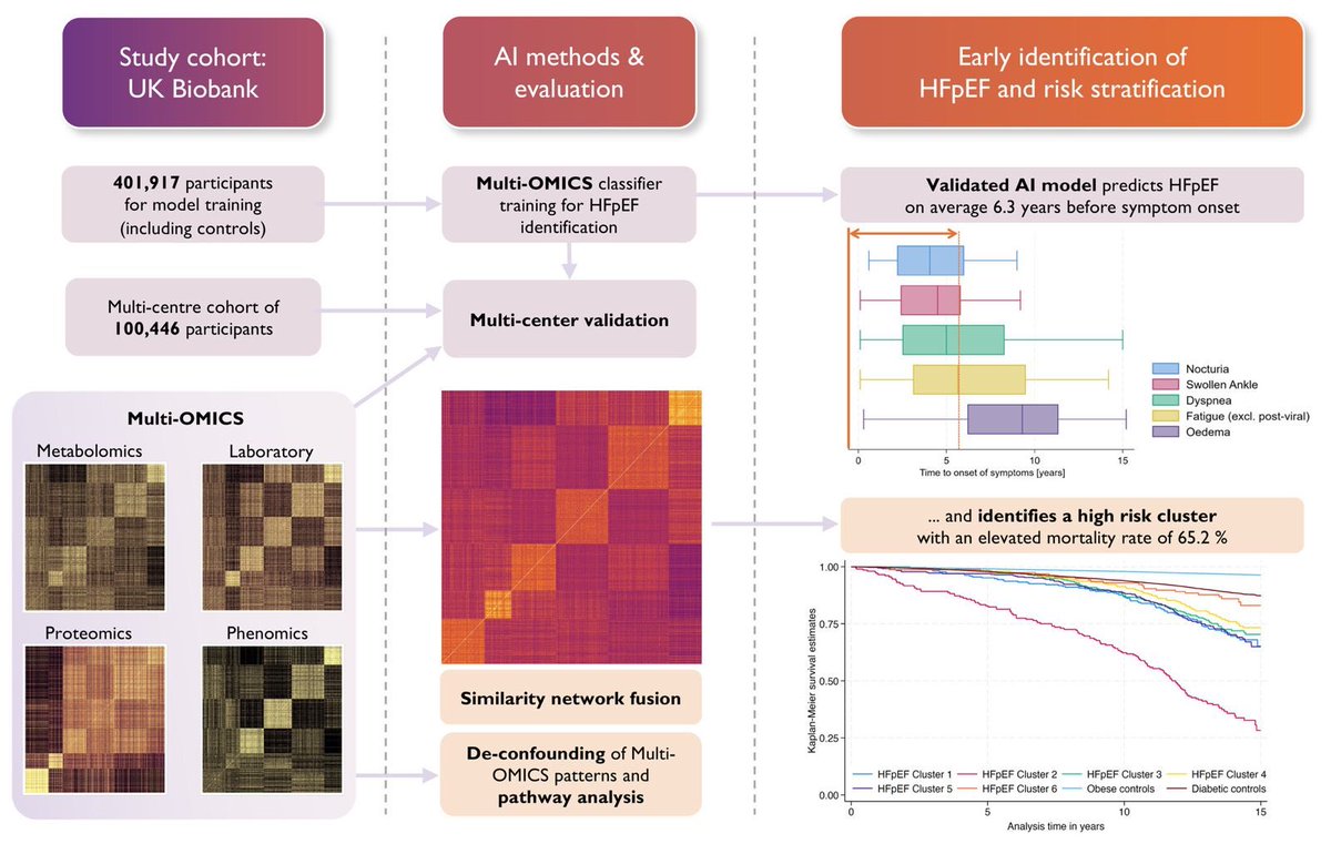 Deep phenotyping of heart failure with preserved ejection fraction ...