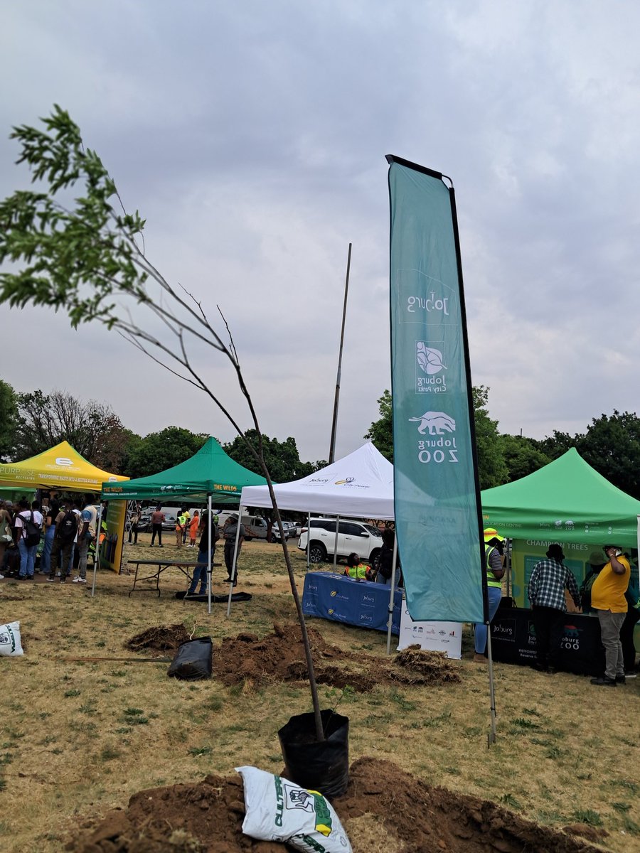 JoburgParksZoo's tweet photo. Today, we are at Boundary Park in Eldorado Park, Region G, to celebrate #ArborMonth.

Under the theme "My Trees, My Oxygen," plant yours today. JCPZ is on a mission to green the city.
 #greeningthecity #JoburgCares #jcpzarborcelebrations #jcpzarbor https://t.co/Bm4cLxvwm3