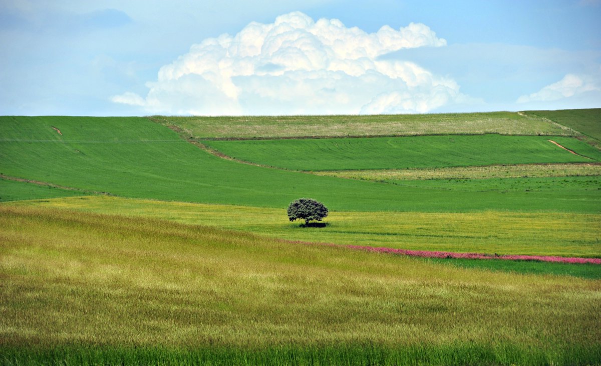 Beni her bahar ağlatır