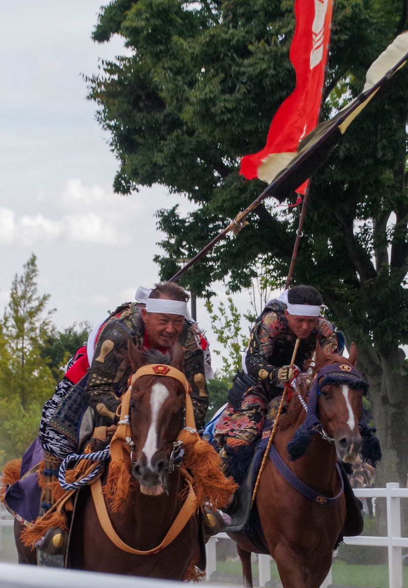 2P4an's tweet image. 野馬追はいいぞ！！！！

#愛馬の日
#馬事公苑
#相馬野馬追