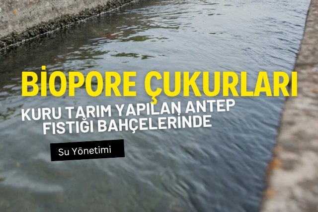 Biyopor çukurları Antepfıstığı bahçelerinde kullanılabilir mi?
hakielik.com/kuru-tarim-yap…