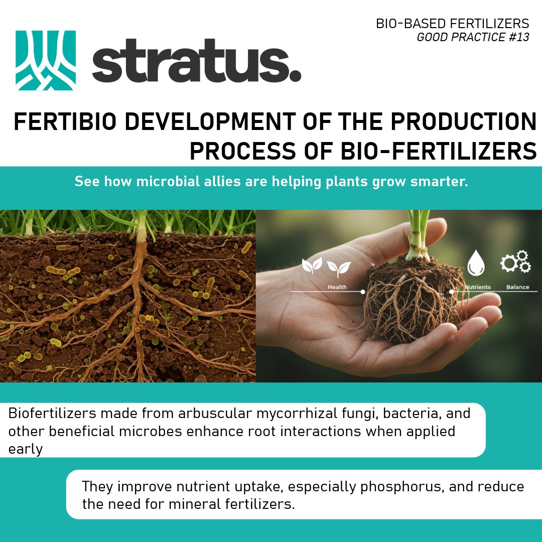 STRATUS is sharing the knowledge collected accross Eurpe to promote a more sustainable way to use fertilizers building a better future for agriculture.

👇Learn more here 👇
stratusproject.eu/wp-content/upl…
