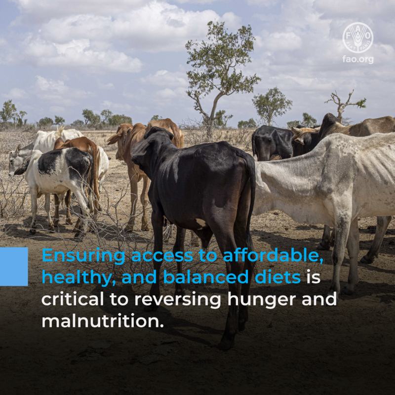 FAOLivestock's tweet photo. Livestock sustain 1.3B people worldwide providing food, income and resilience.🌍

#SustainableLivestock