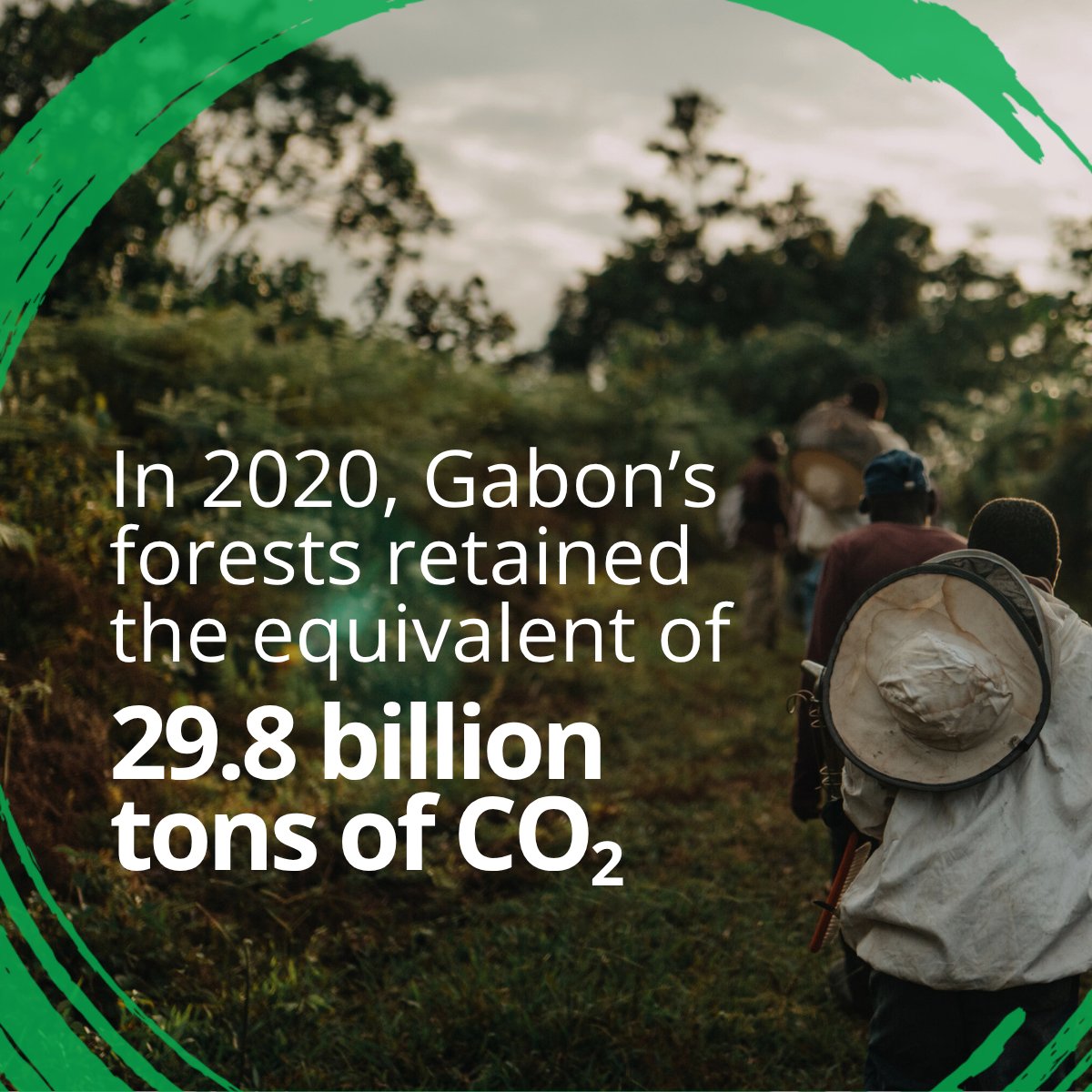 The economic value of #Gabon's forest ecosystem services nearly doubled between 2000-20 to $75.1 billion, with about 99% coming from carbon retention. However, despite its forests holding 29.8 billion tons of CO2, Gabon isn't being adequately compensated. wrld.bg/9Bio50X0BA7