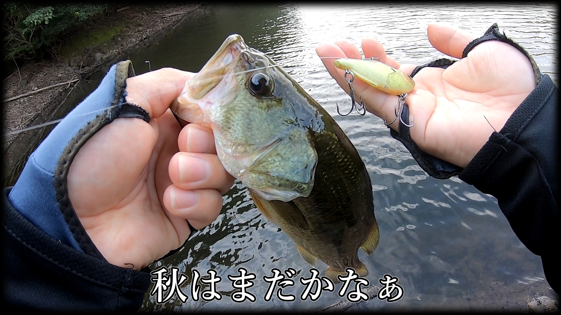 Nishine Lure Works (@Beatour27) / X
