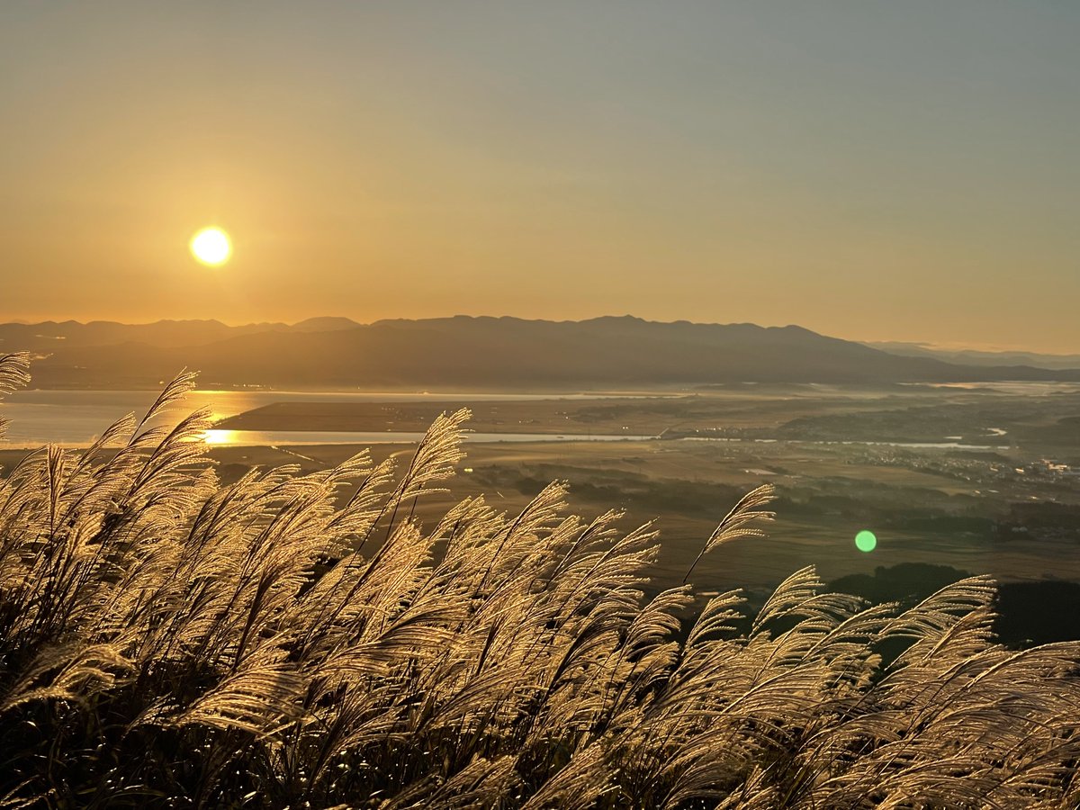 ・半島じゅうすすきだらけ
・日本海に沈む夕陽で黄金色に輝く
・寒風山から日の出も拝める（男鹿だけに）
・とにかく空いてる

仙石原や曽爾高原も最高ですが、スポットとしてそんなに推してない感じなのに男鹿半島のすすきは本当に見事なものです

ぜひ一度、秋の男鹿を…