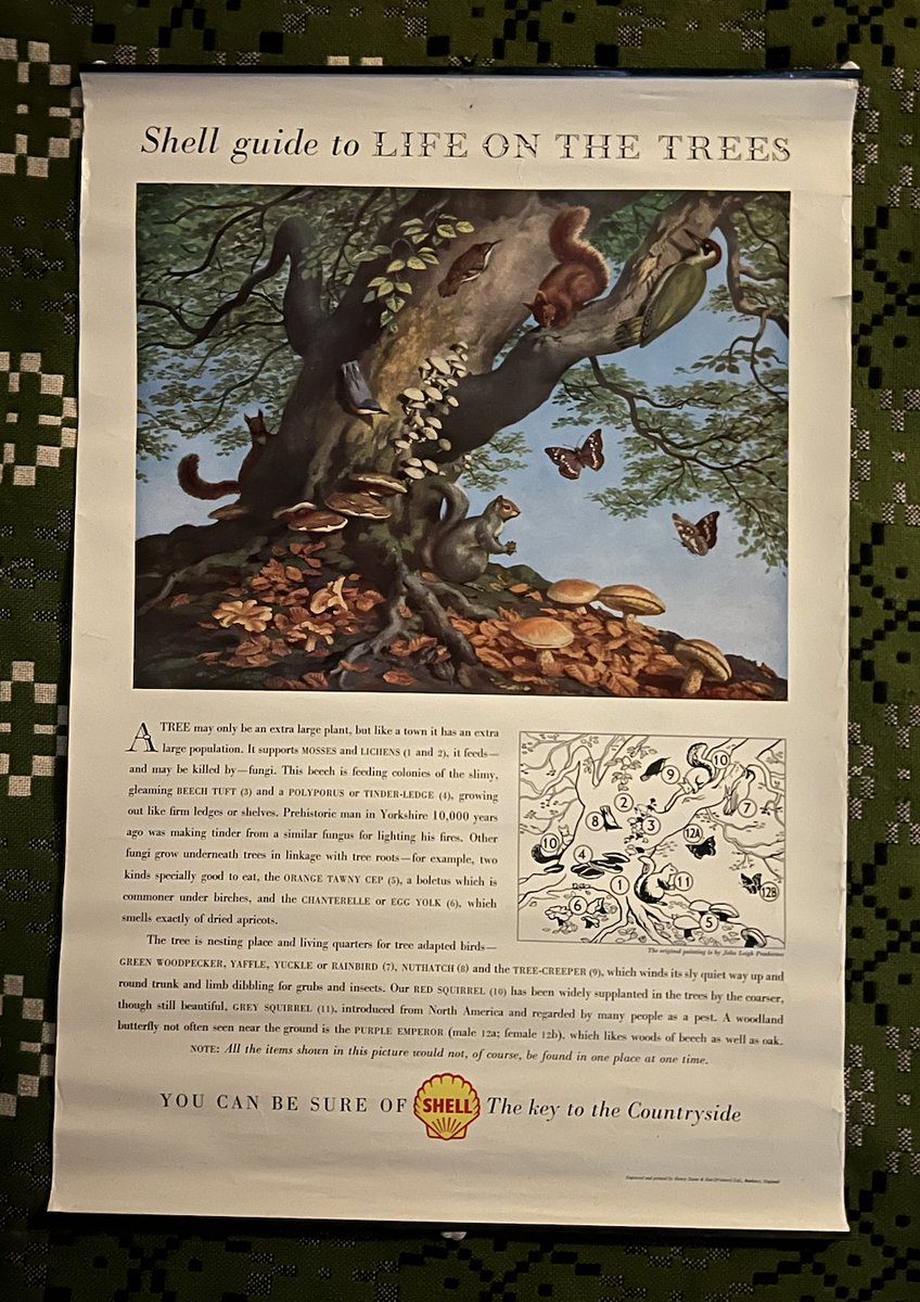 Anne Louise Avery tweet media