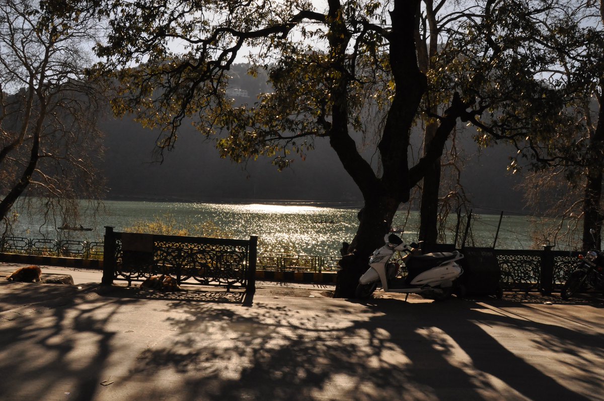 sierraoperator's tweet image. found some photos from 2018 i clicked 
📍nainital