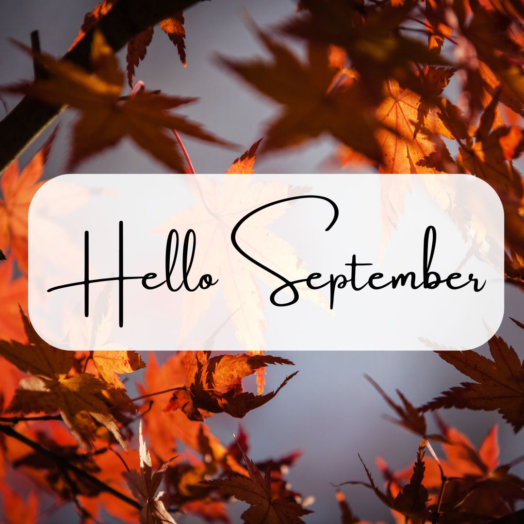 hometownehotel's tweet image. 🍂 Enjoy the beauty of September in Washington, PA! Stay comfy at HomeTowne Studios and explore local fall charm. 🍁
📖 Read more: stayinstylehotels.blogspot.com/2025/09/experi…

#WashingtonPA #HomeTowneStudios #SeptemberTravel #FallGetaway