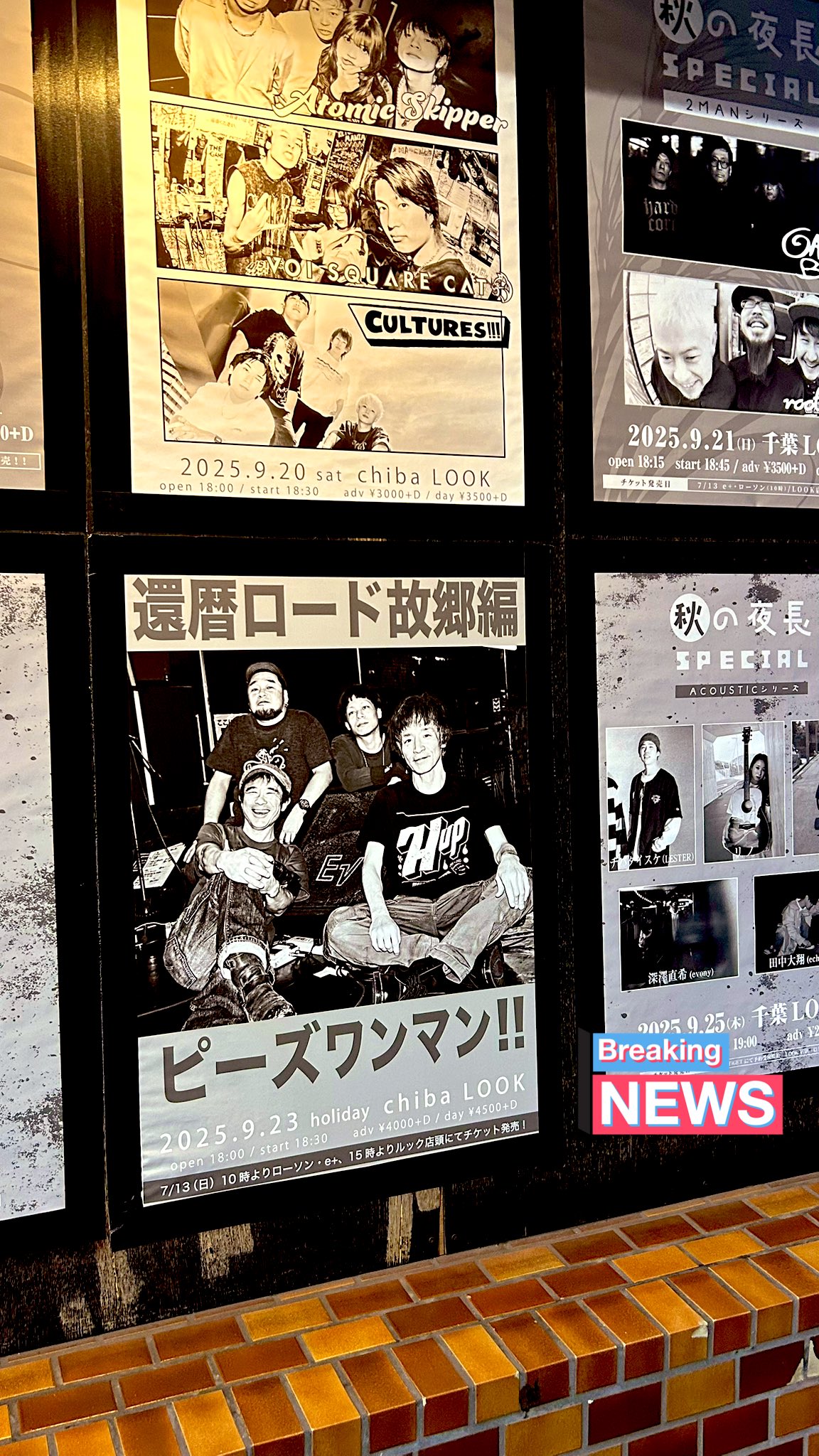 Theピーズ/ 常盤座 Amazon.co.jp: Live Video 常盤座 [VHS] : Theピーズ, Theピーズ